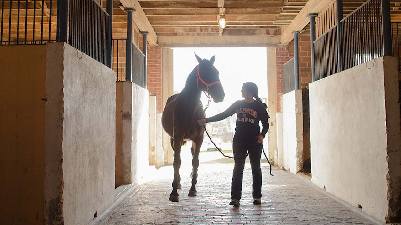 Student walking a horse through the hallway in a barn