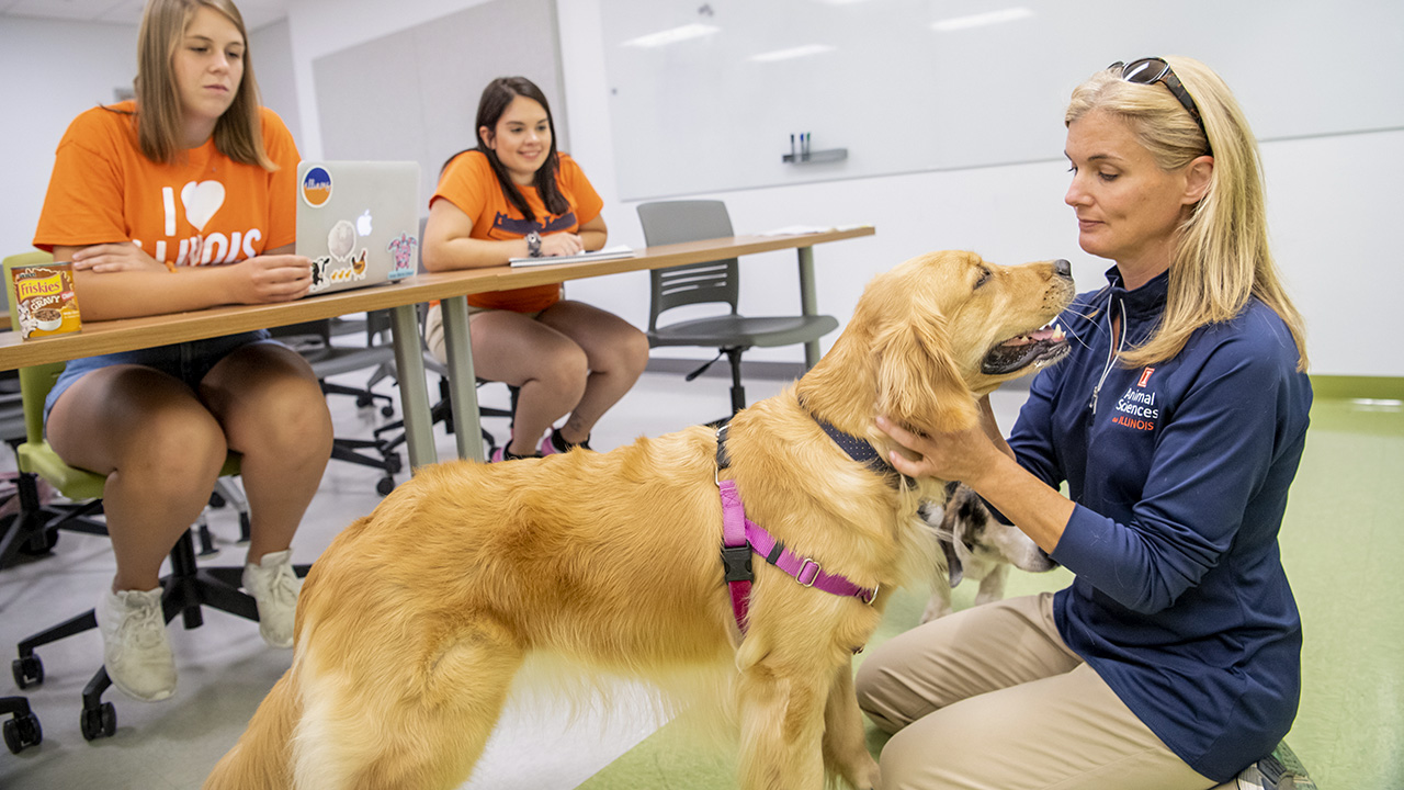 Instructor with yellow labrador and students in classroom.