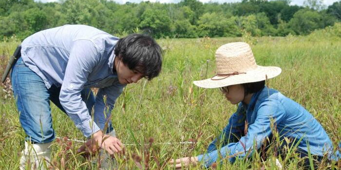 Two people working in a field