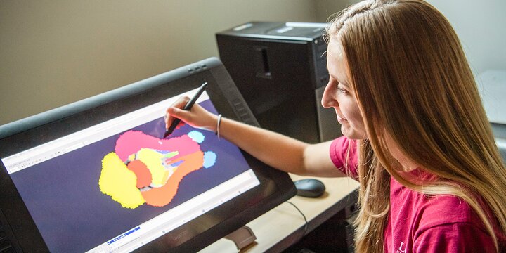 Bioninformatics student working on animal anatomy on a computer.