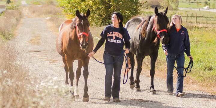 Two students walking horses.