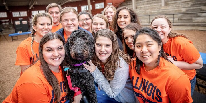 Group of female students in Illini Orange shirts surrounding a black labradoodle dog.