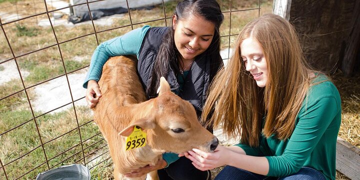 Animal Sciences Major