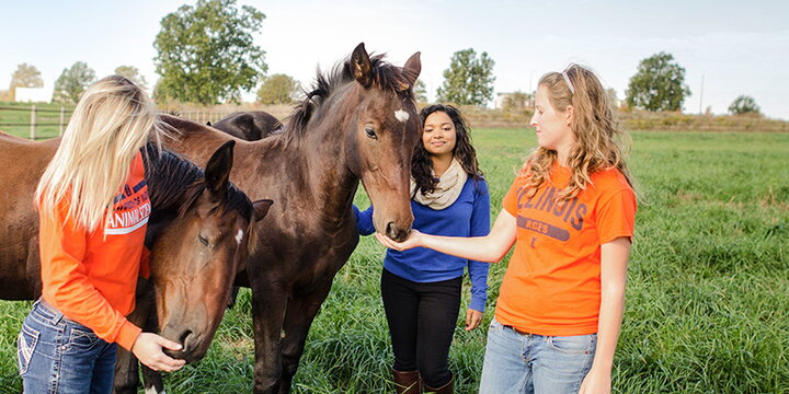 Students with a horse at the broodmare farm.