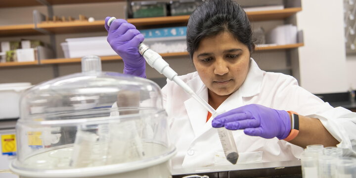 Graduate student using scientific equipment in lab to perform experiment