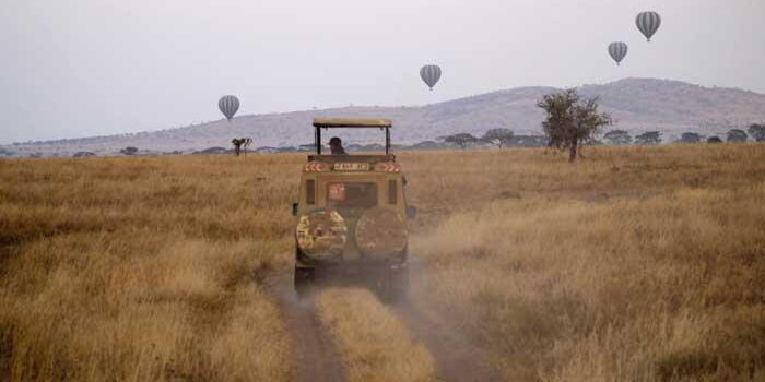 Hot air balloons on the horizon