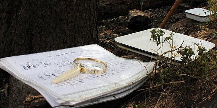 Magnifying glass laying on a stack of papers