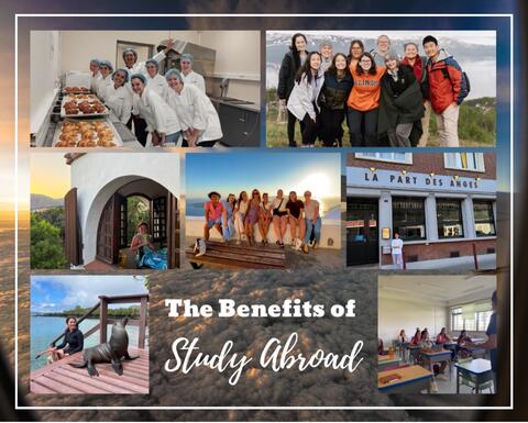 Students on their study abroad trips.