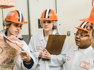 Meat animal evaluation students in facility with hanging meat