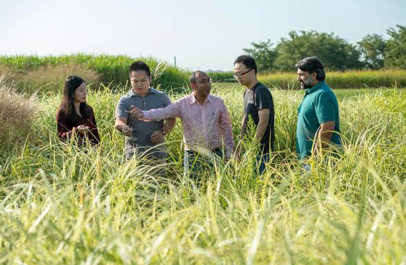 People examining grass in a field