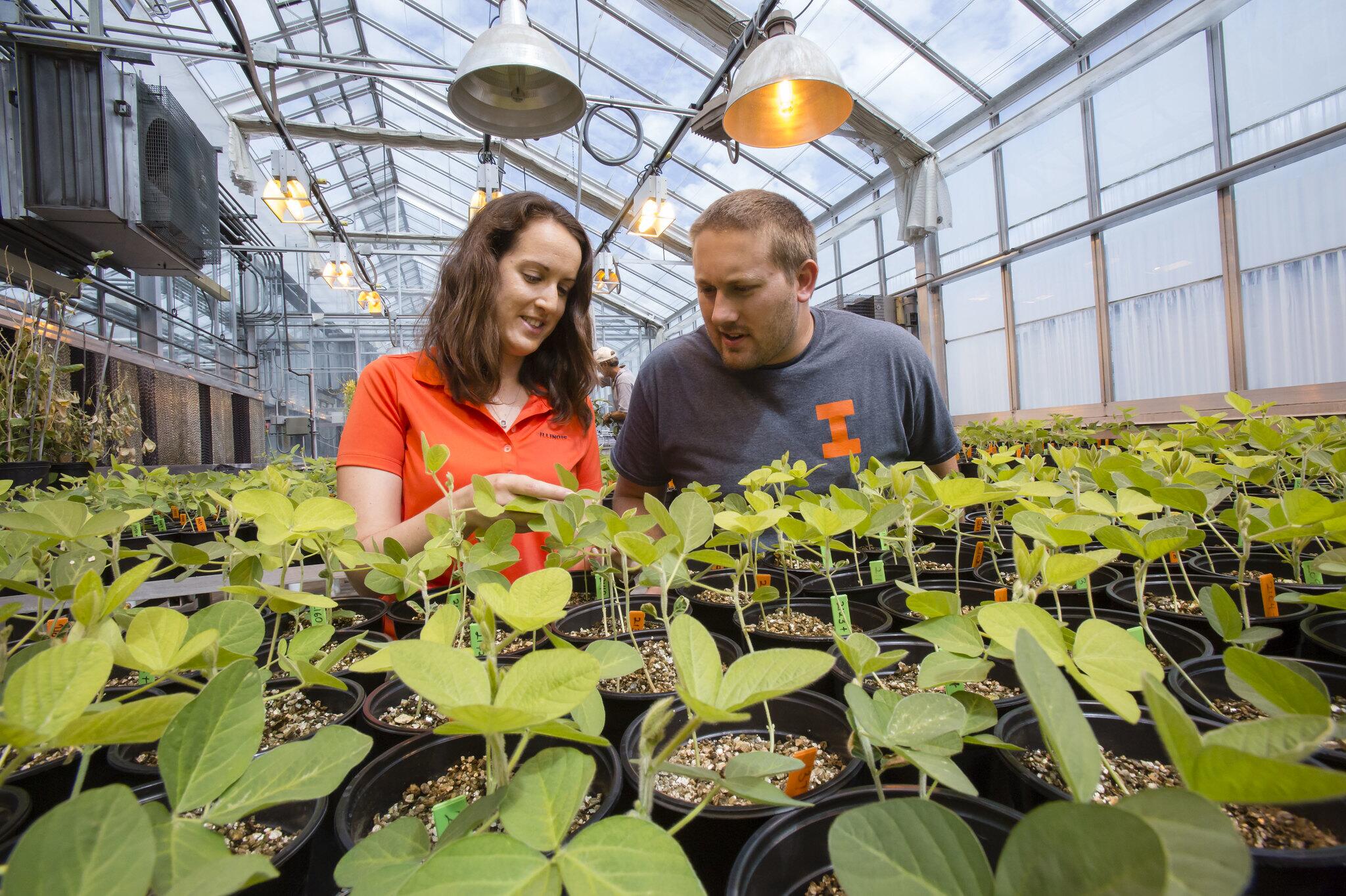 Students looking at plants in greenhouse.