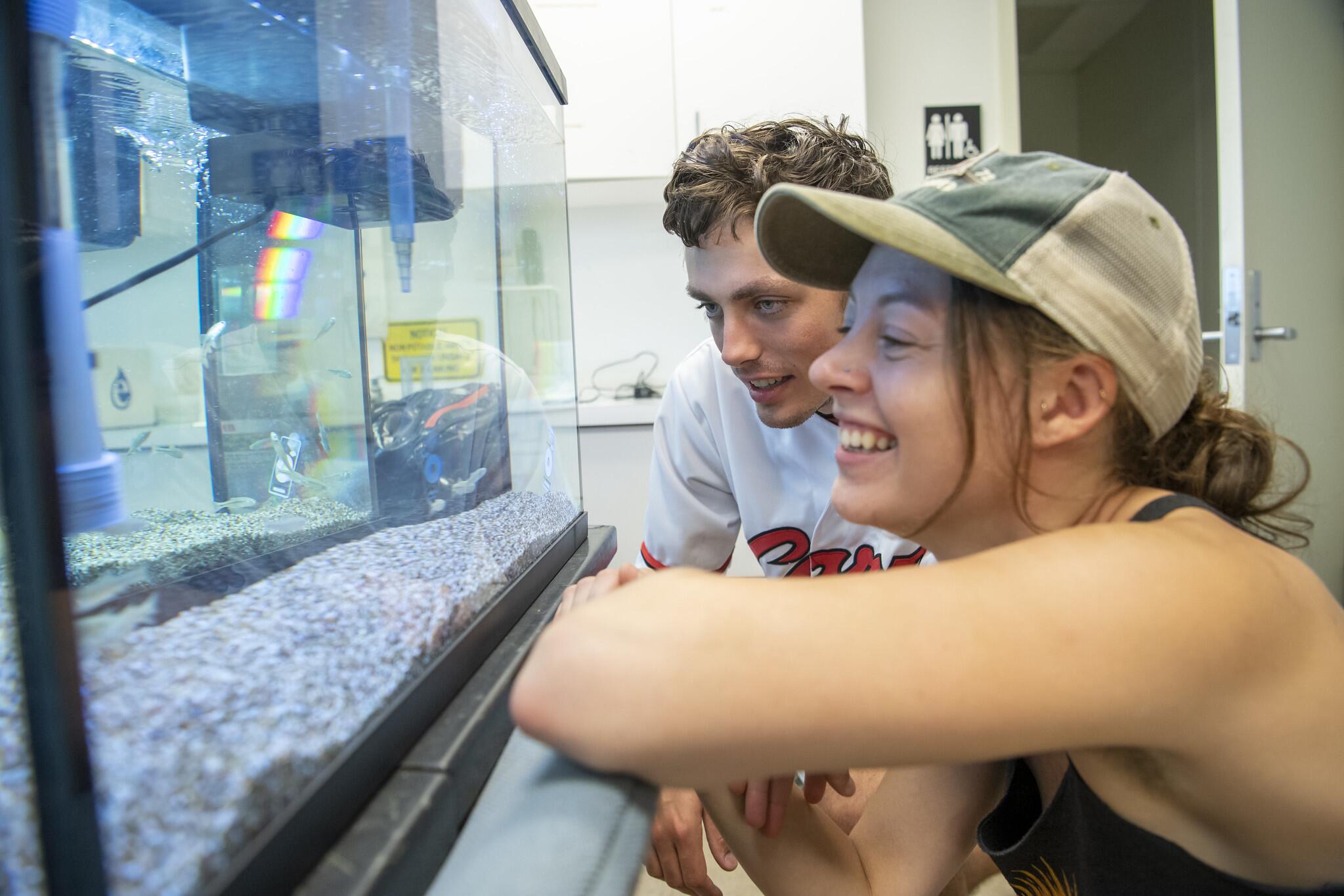 Students looking at fish in an aquarium.