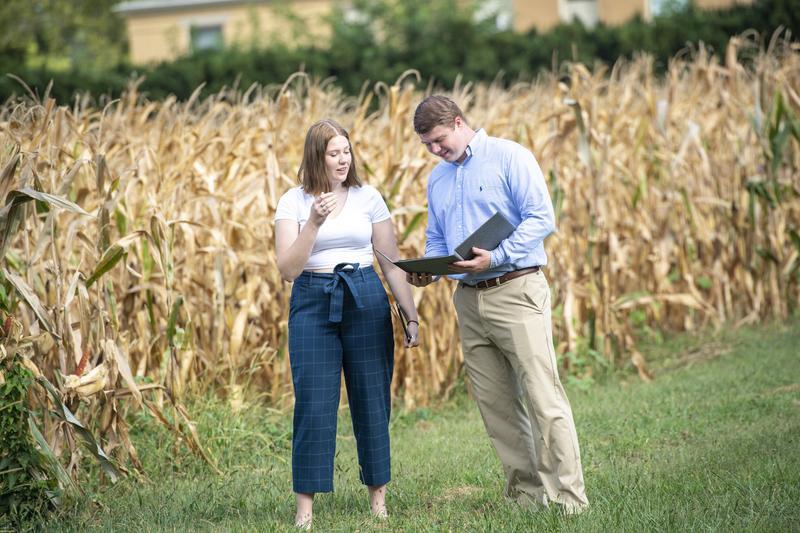 Professor teaching student about corn in Morrow Plots.