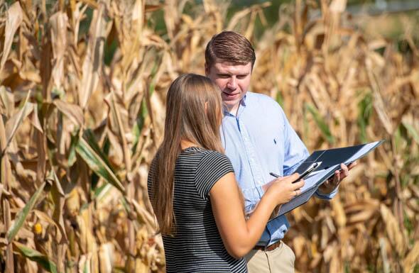 Students examining papers in front of a corn field