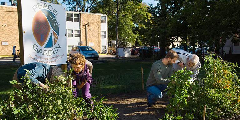 Urban Agriculture PDC