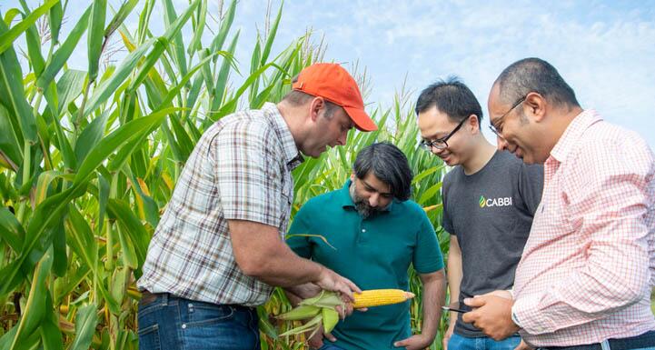 People examining a piece of corn