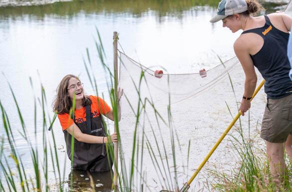 Students working in a creek